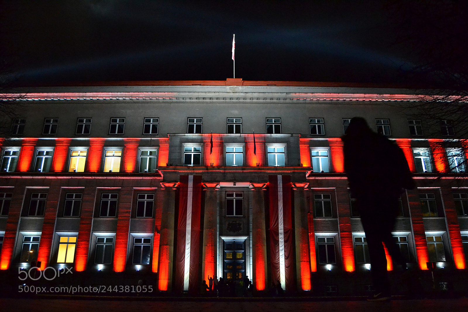 Nikon D3100 sample photo. Light festival photography