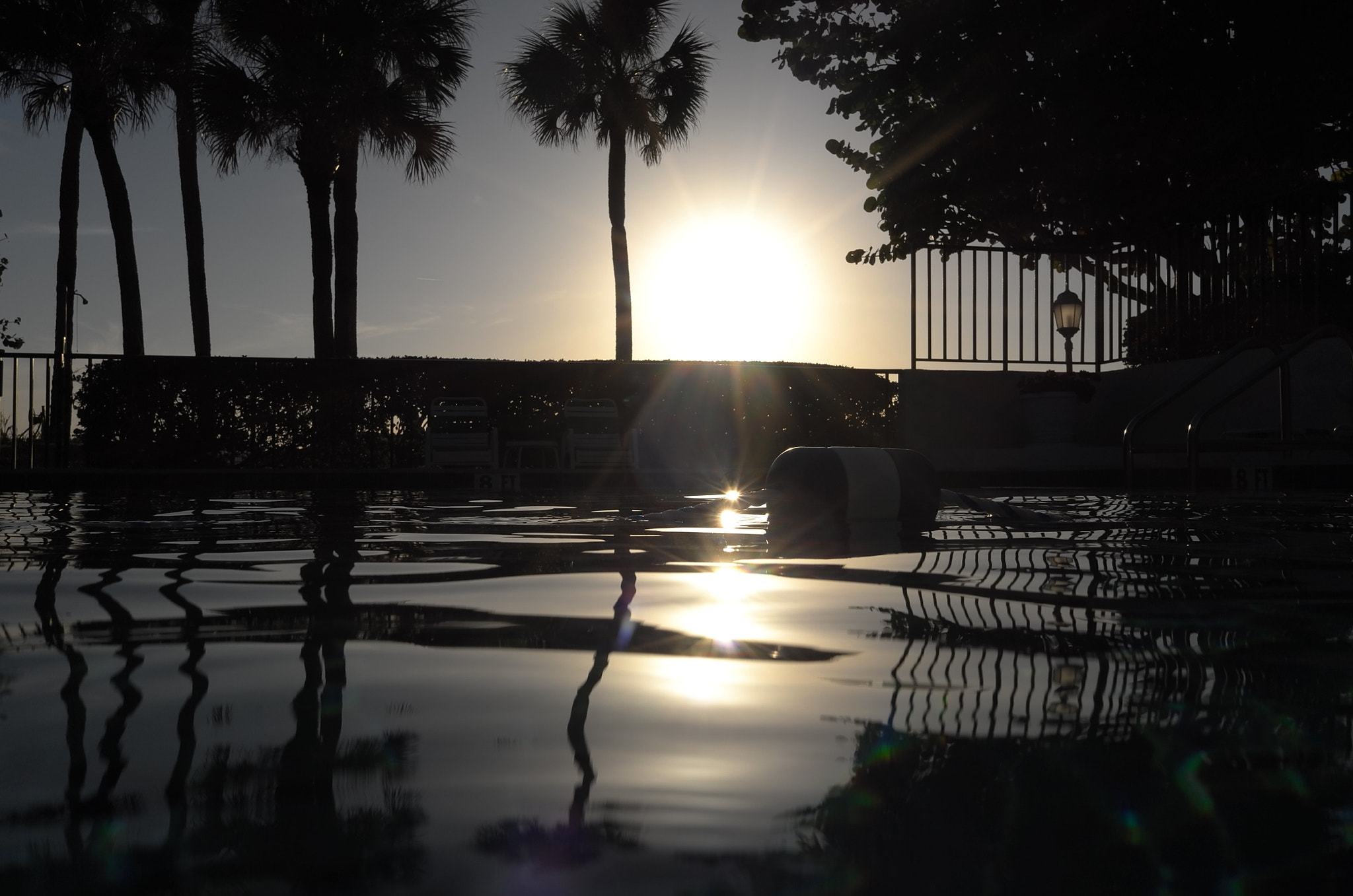 Leica X-U (Typ 113) sample photo. A shot from the surface of a pool in florida as the sun sets beyond the palm trees photography