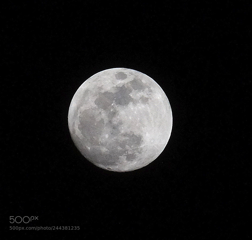 Sony SLT-A58 sample photo. Moon photography