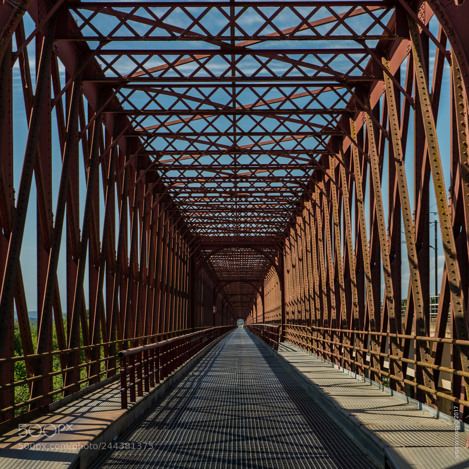 Nikon D600 sample photo. Bridge photography
