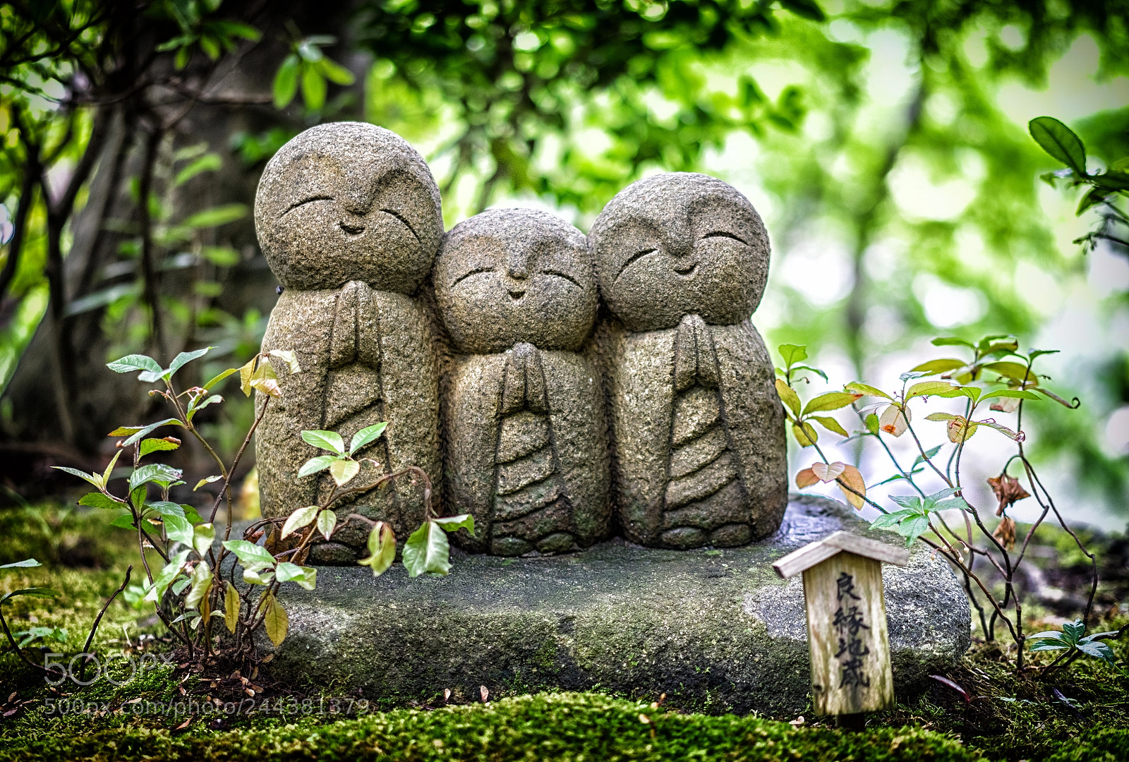 Sony a7 II sample photo. 3 amigos photography