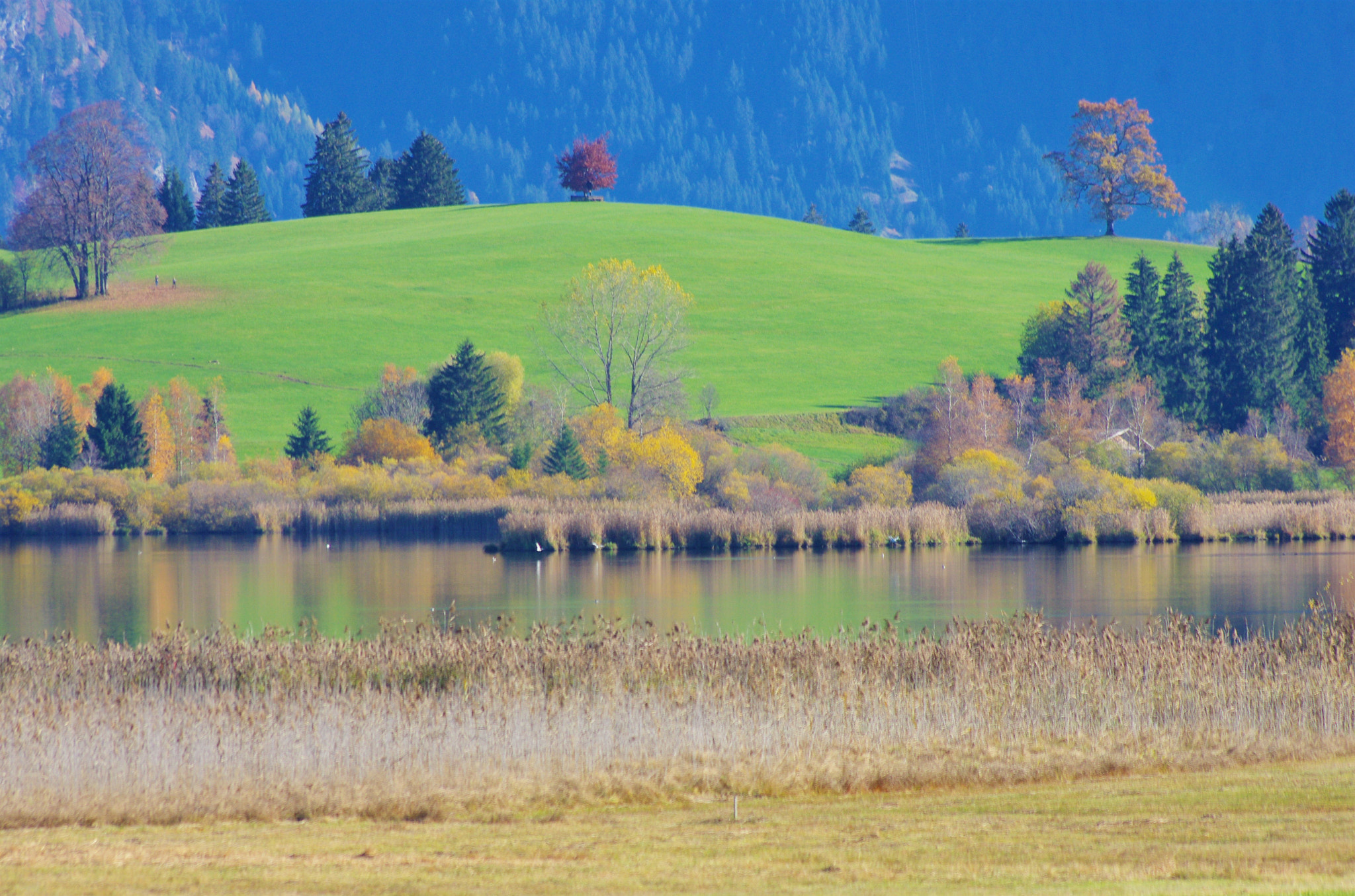 Pentax K-5 sample photo. Hopfensee photography