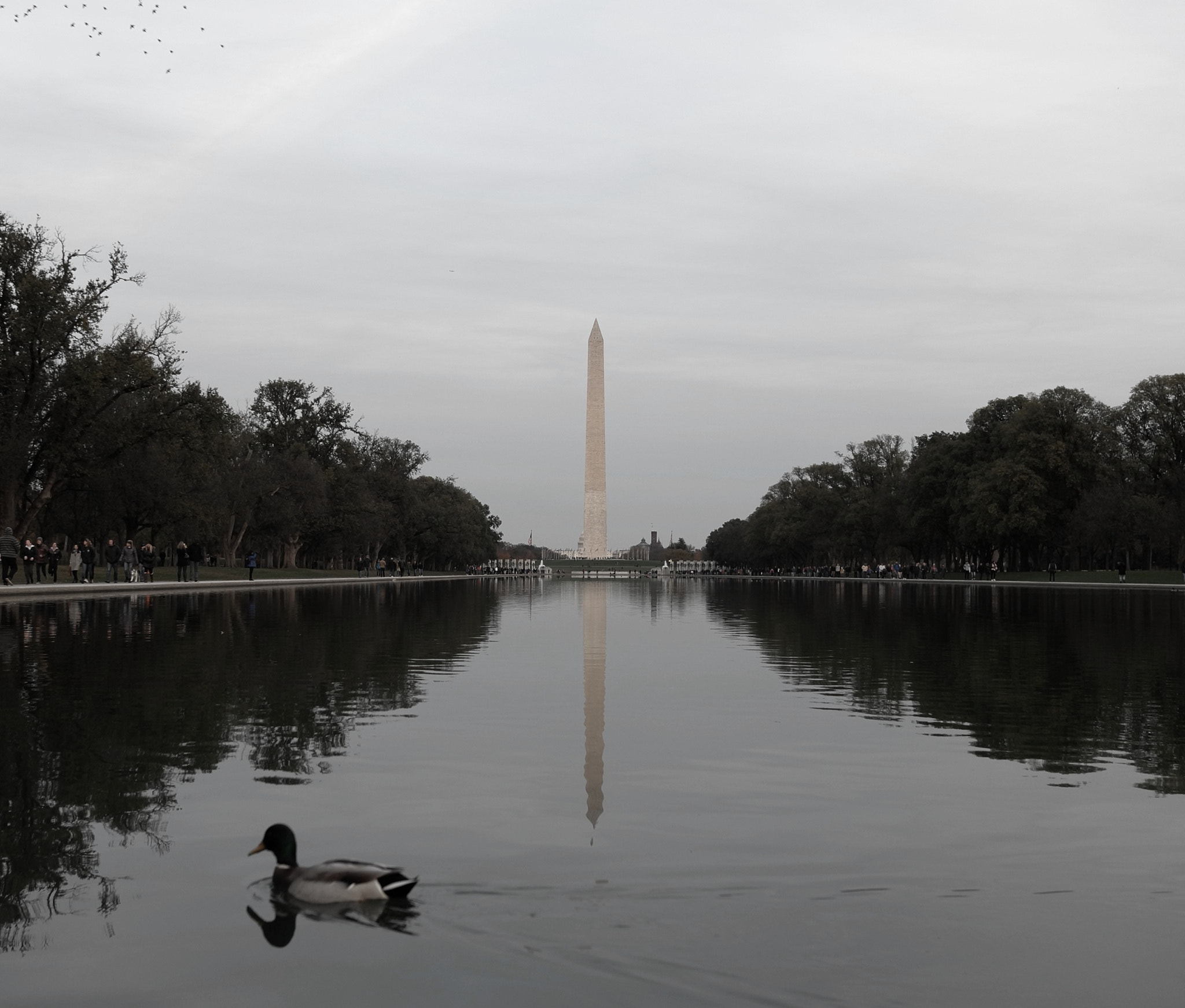 Leica X-U (Typ 113) sample photo. Washington monument as viewed from the west end of lincoln’s reflecting pool photography