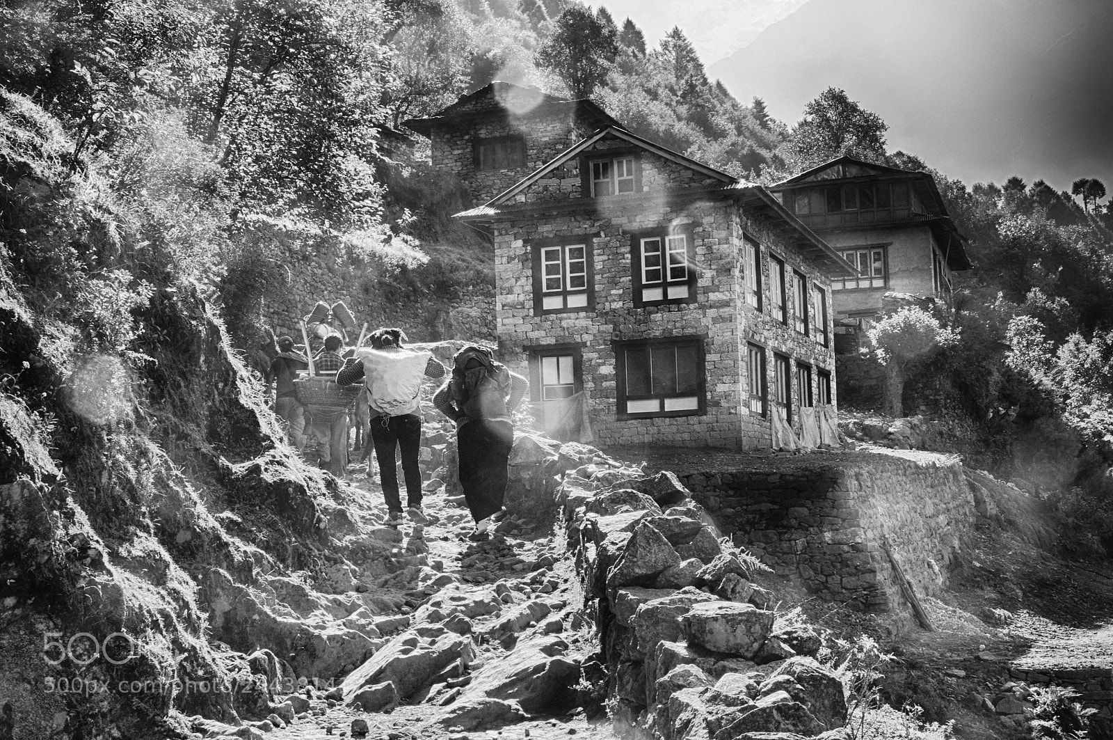 Nikon D90 sample photo. Nepal caravane de yaks photography