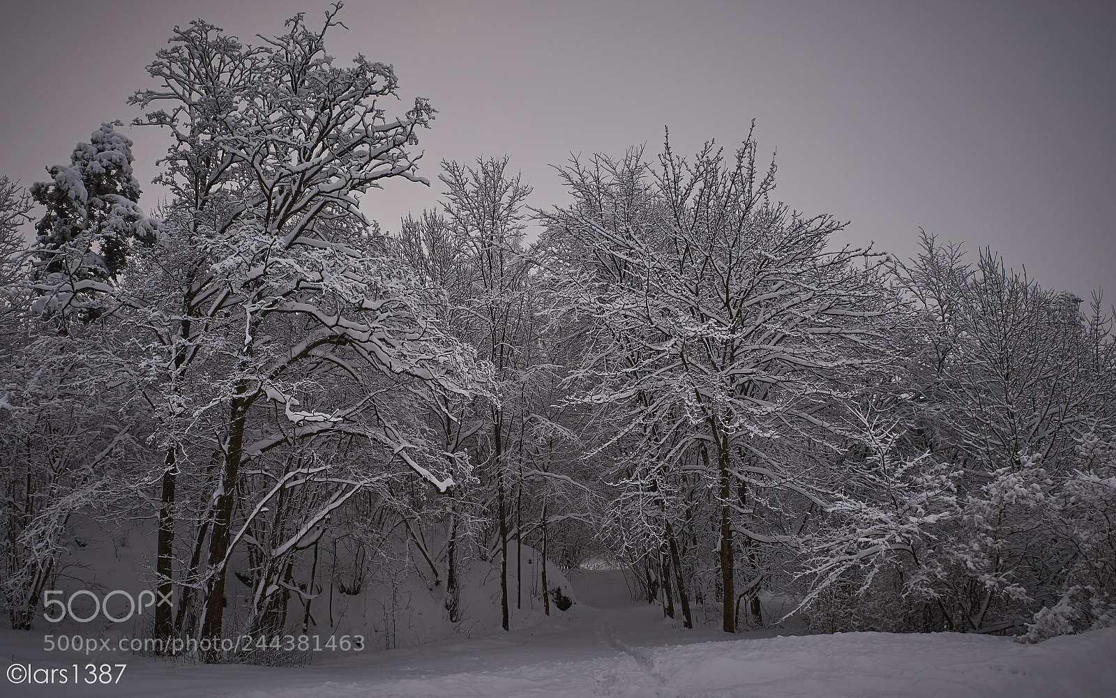 Fujifilm X-T1 sample photo. Winter photography