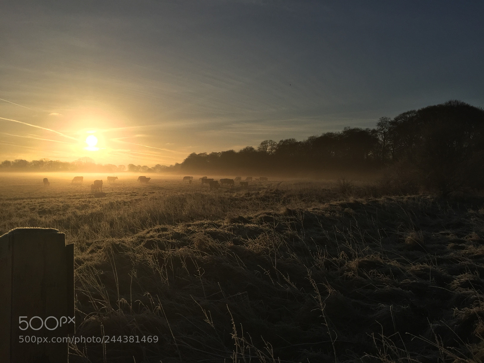 Apple iPhone 6 sample photo. Salisbury plain at dawn photography
