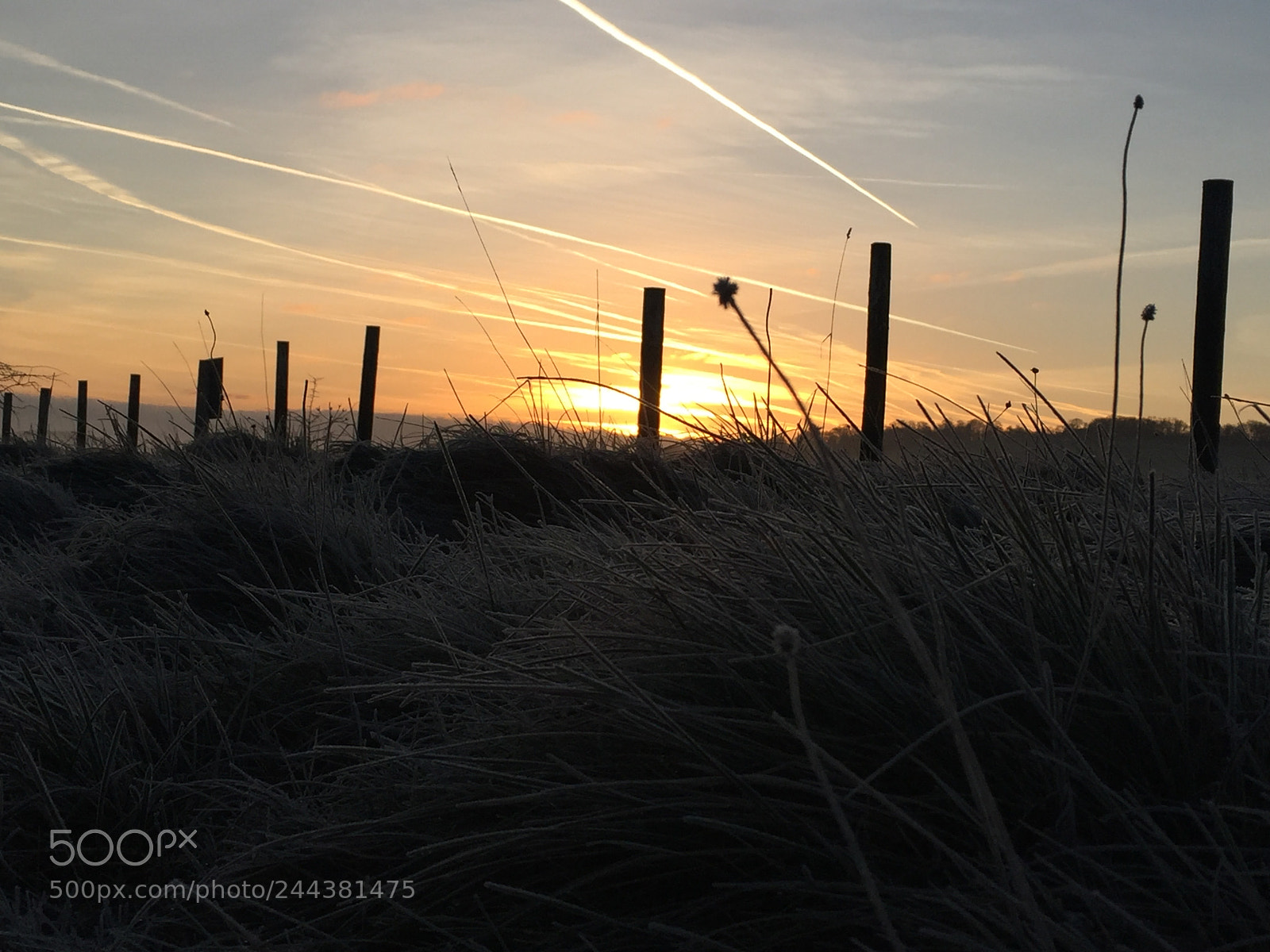 Apple iPhone 6 sample photo. Salisbury plain at dawn photography