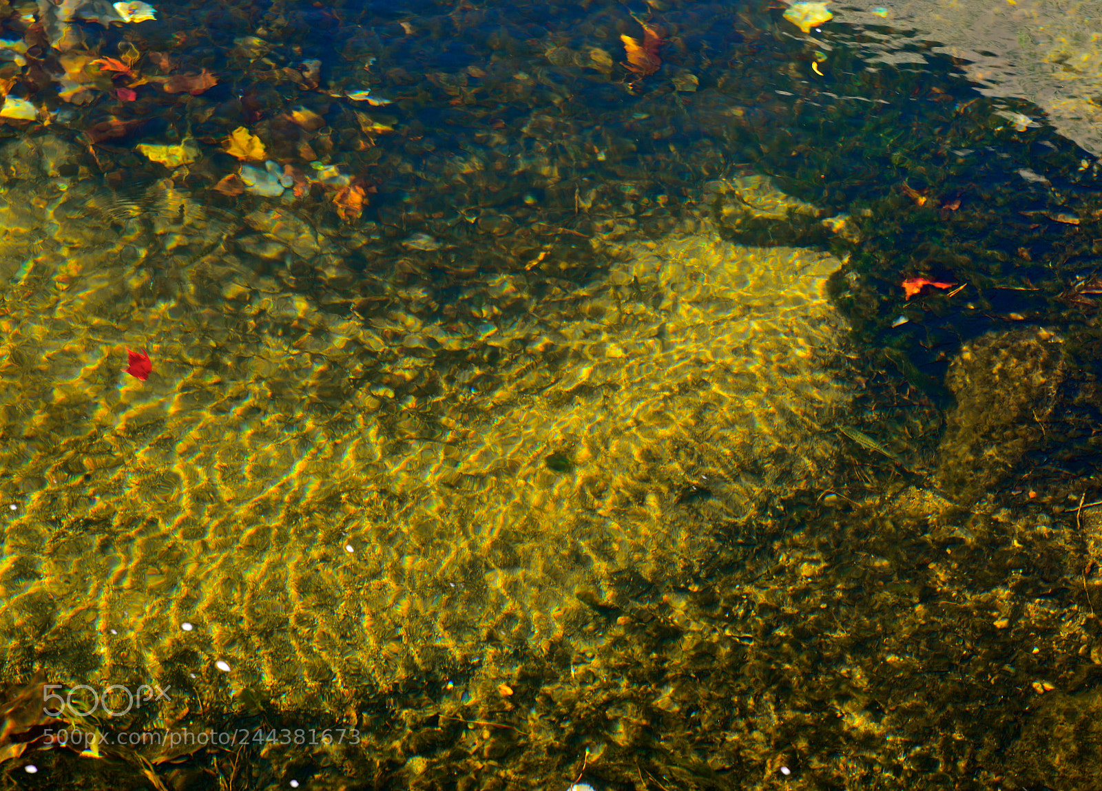 Nikon D600 sample photo. Sunlit stream photography