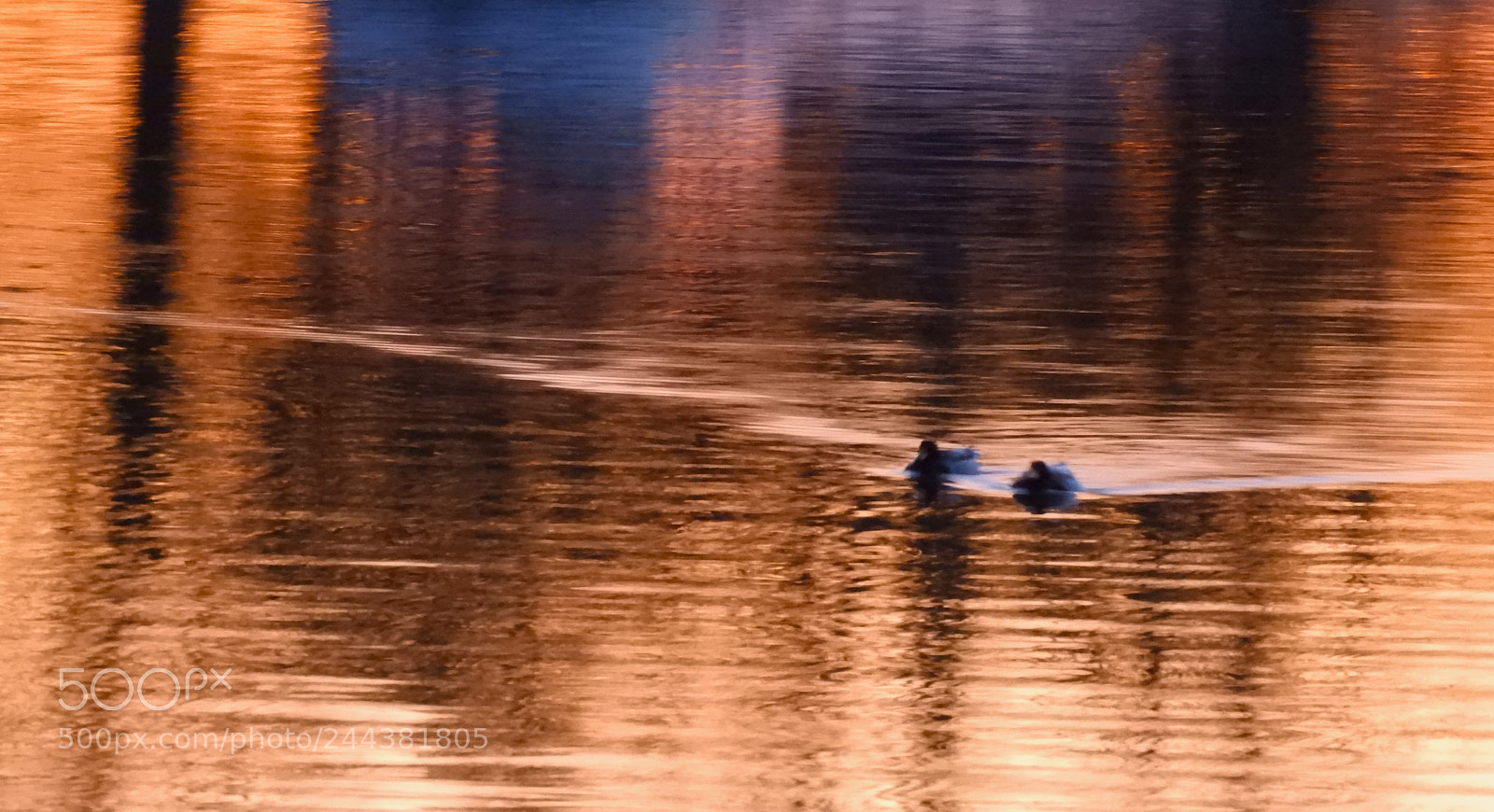 Nikon Coolpix B700 sample photo. Ducks at dusk photography
