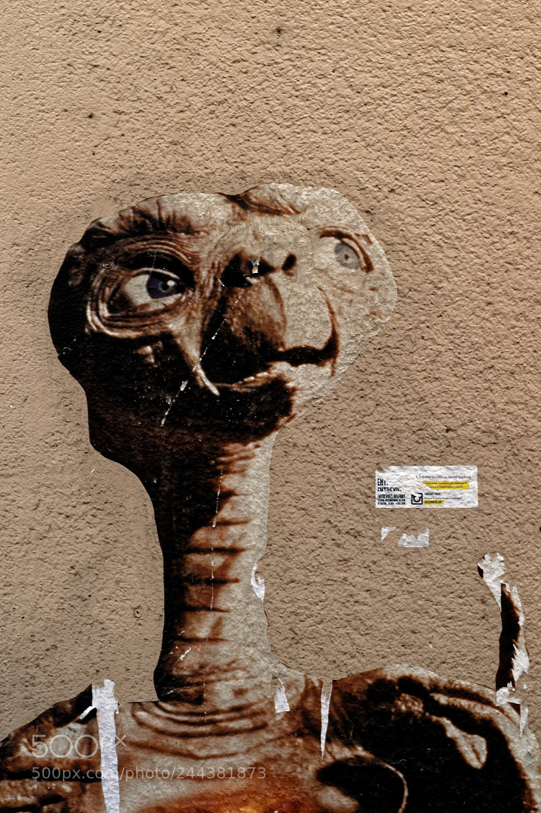 Nikon D3200 sample photo. The walls : et photography