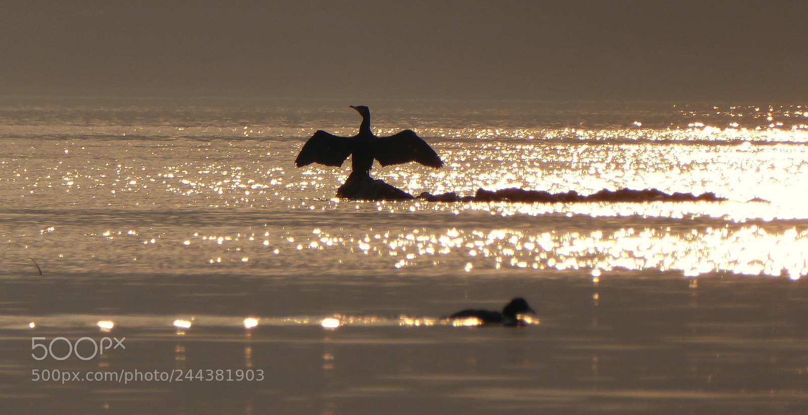 Panasonic Lumix DMC-ZS50 (Lumix DMC-TZ70) sample photo. In the golden lake photography