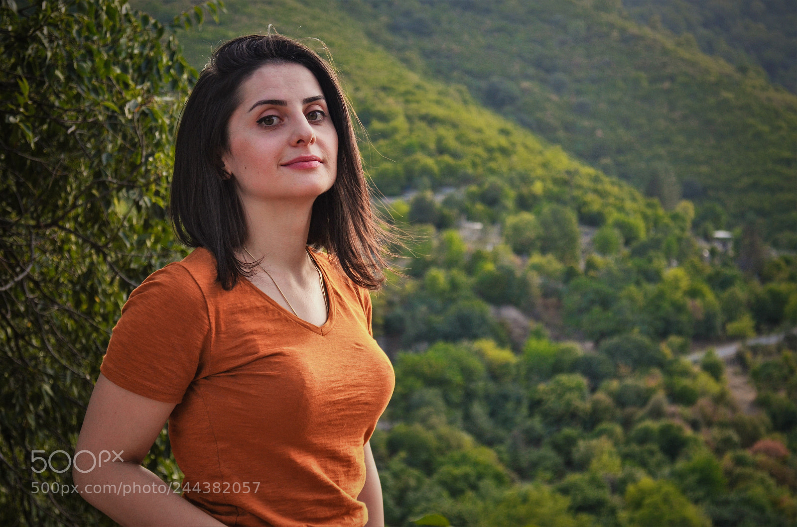 Nikon D5100 sample photo. Orange and green photography