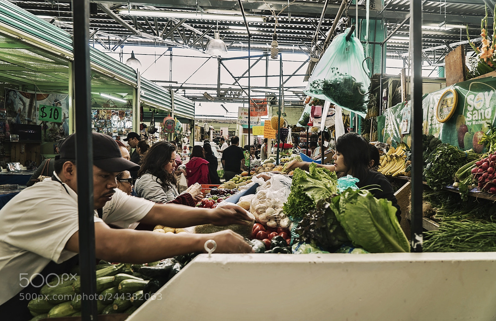 Sony a7S sample photo. What we grow photography
