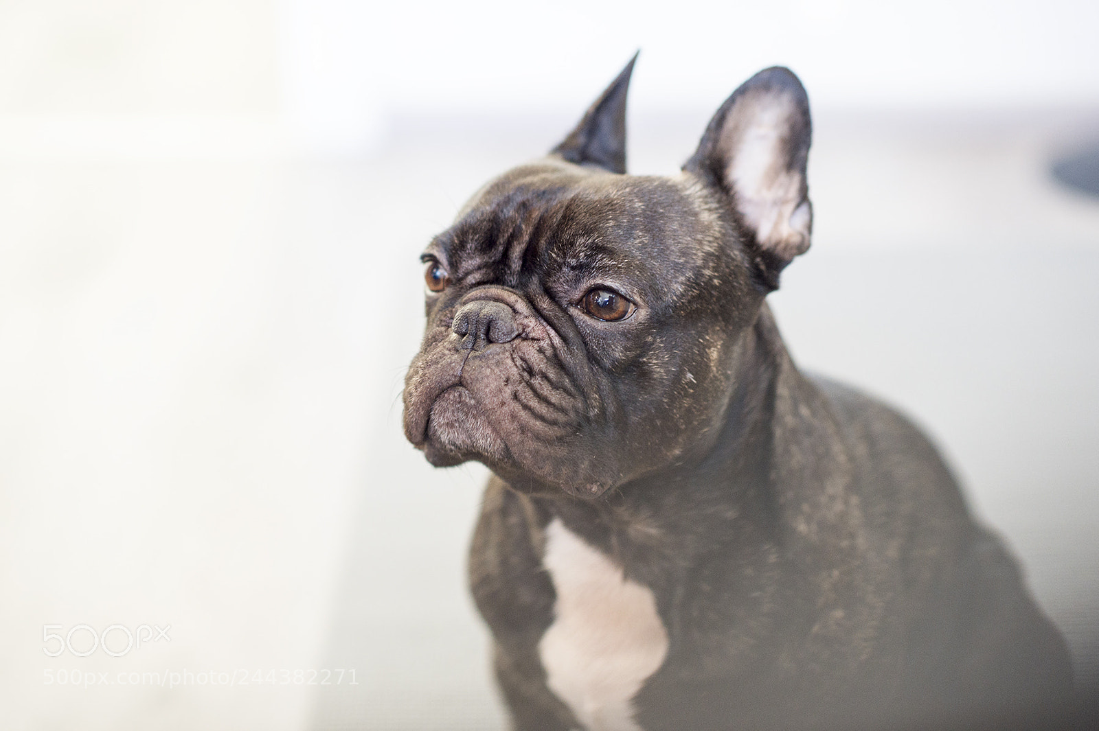 Nikon Df sample photo. Vip photography