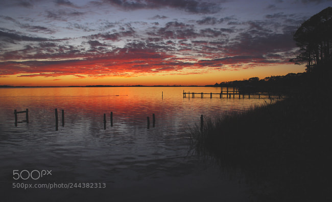 Nikon D60 sample photo. Td photography