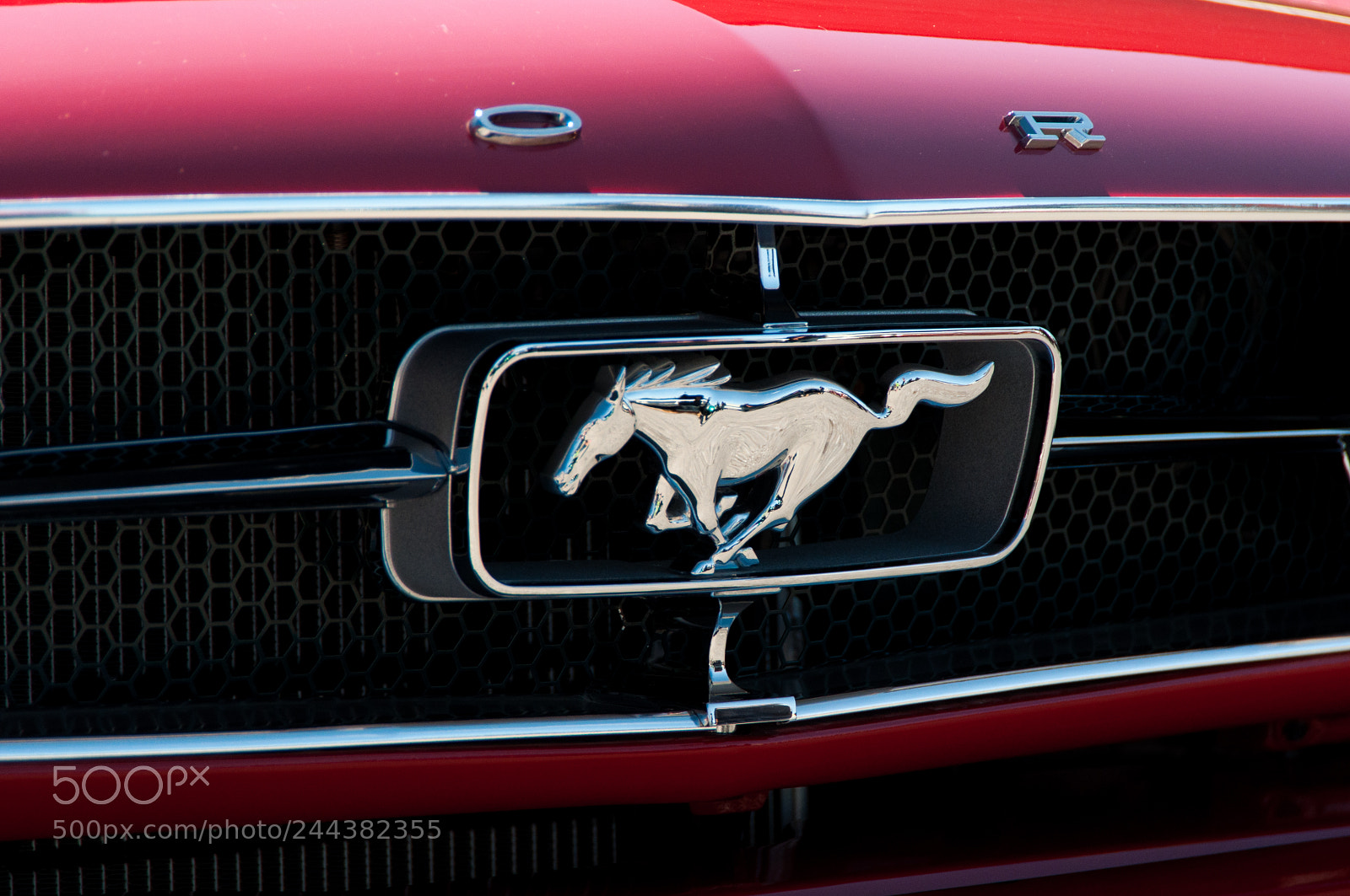 Nikon D90 sample photo. Horse passion photography