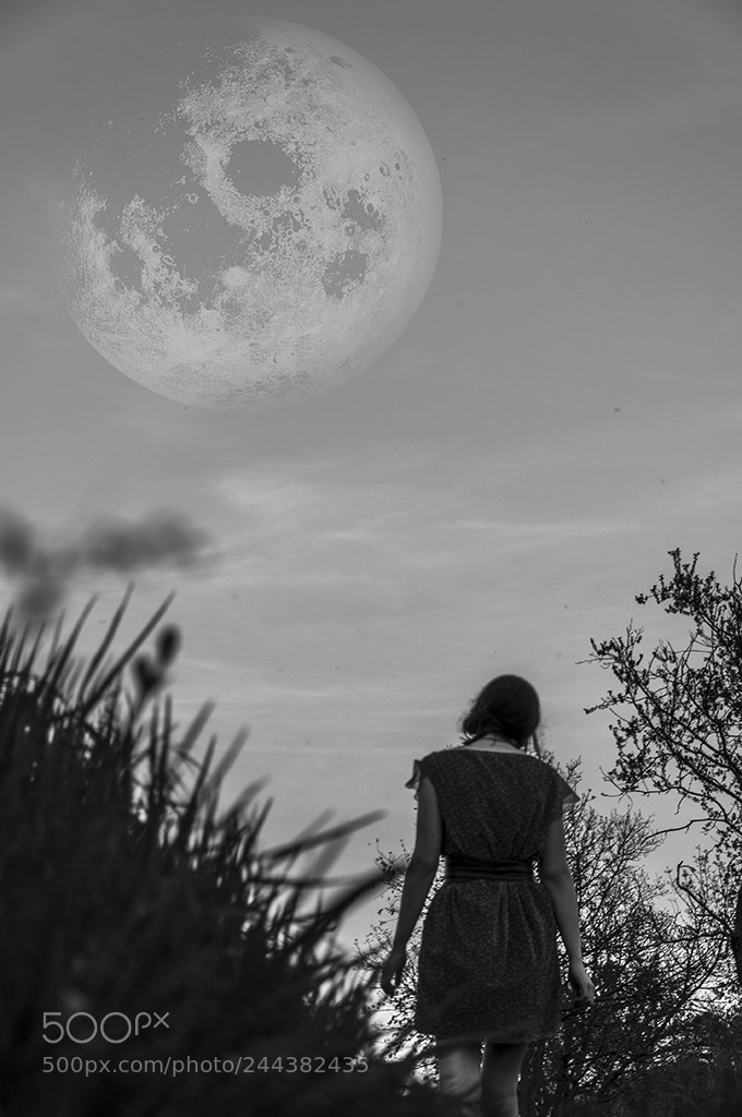 Nikon D90 sample photo. Revêche photography