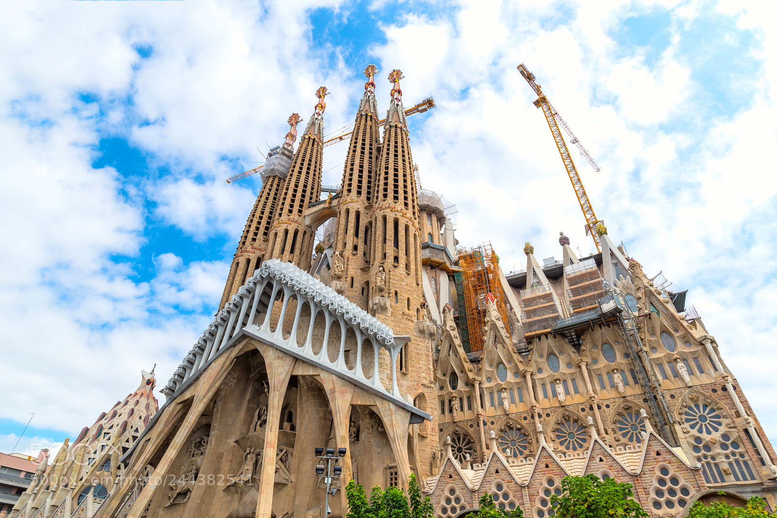 Nikon D610 sample photo. Barcelona, catalonia, spain, september photography