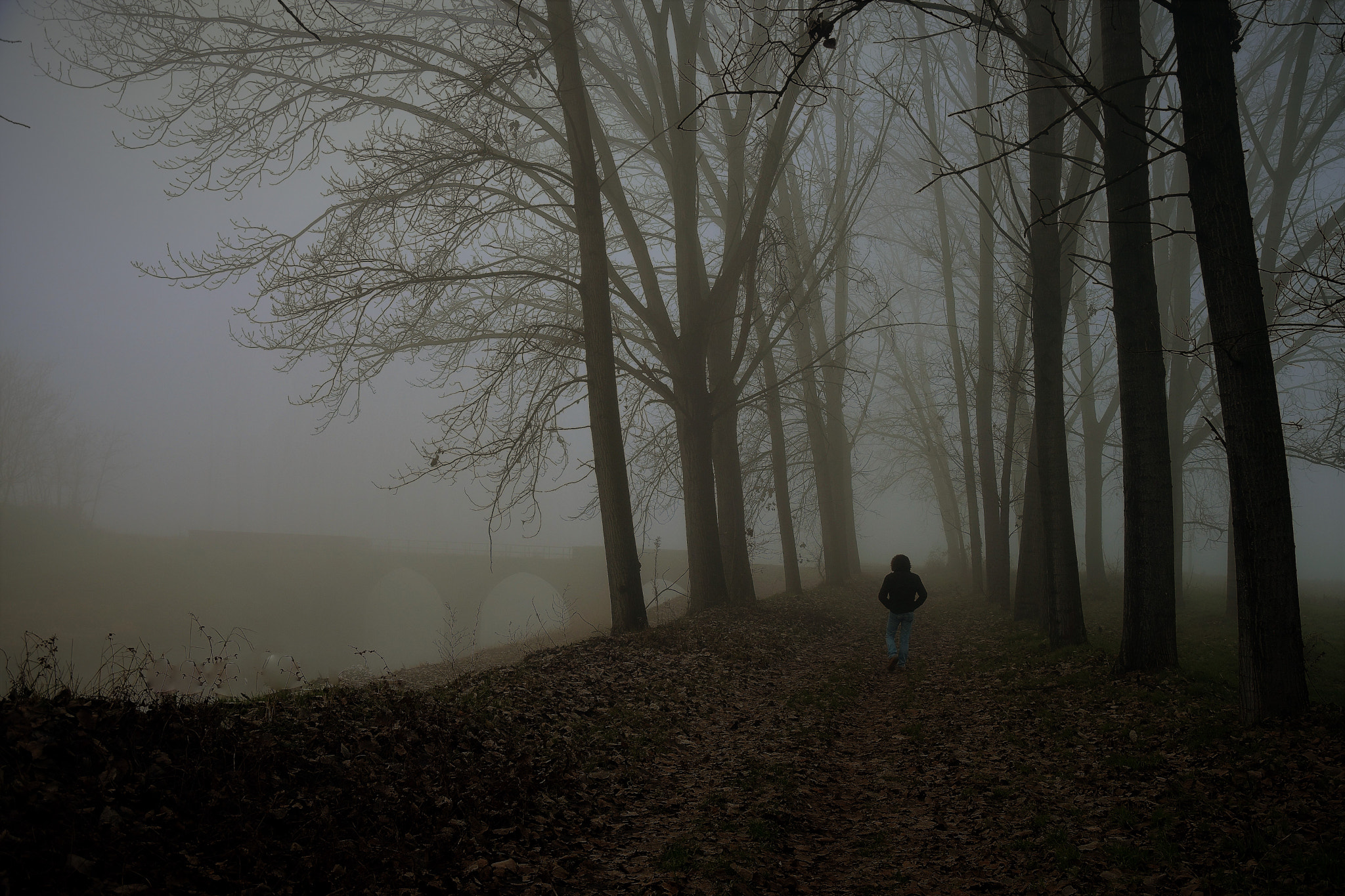 Nikon D5500 sample photo. In the fog photography