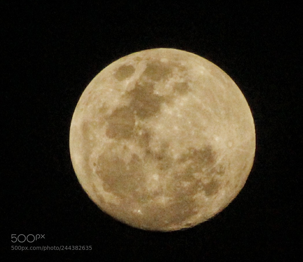 Canon EOS 1300D (EOS Rebel T6 / EOS Kiss X80) sample photo. Prior day to lunar photography