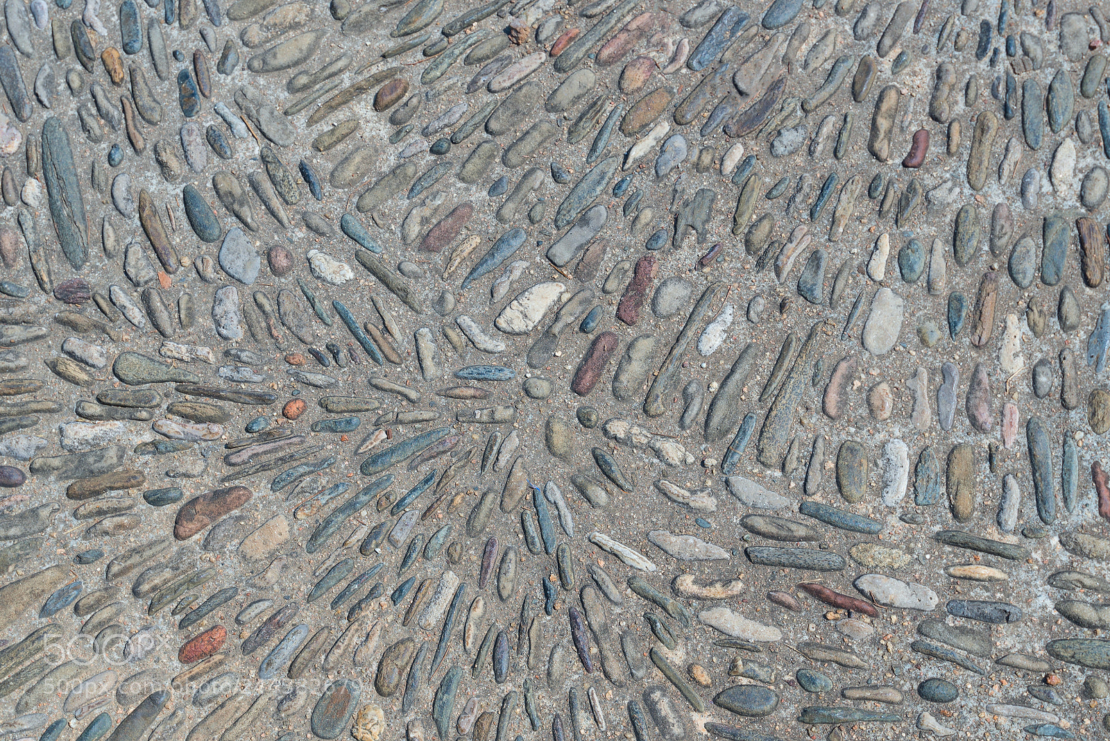 Nikon D610 sample photo. The texture of the photography