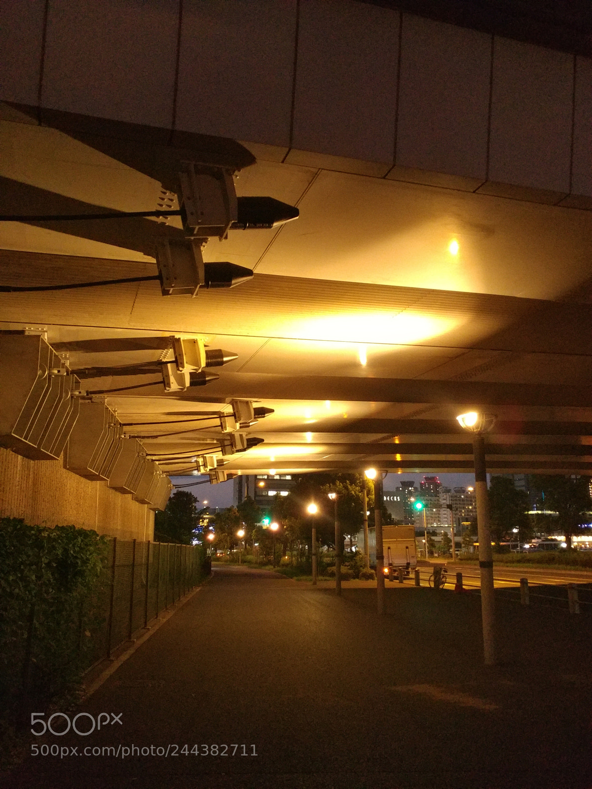 LG V20 sample photo. Under photography
