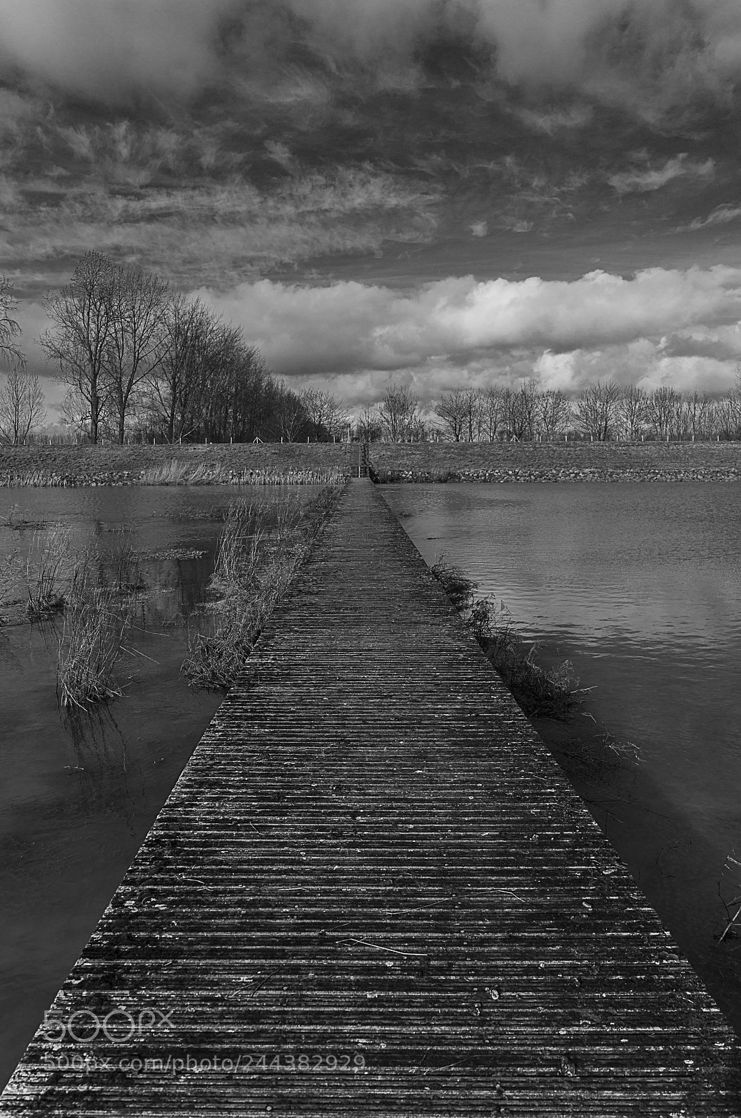 Sony a7R II sample photo. Jerry b/w photography