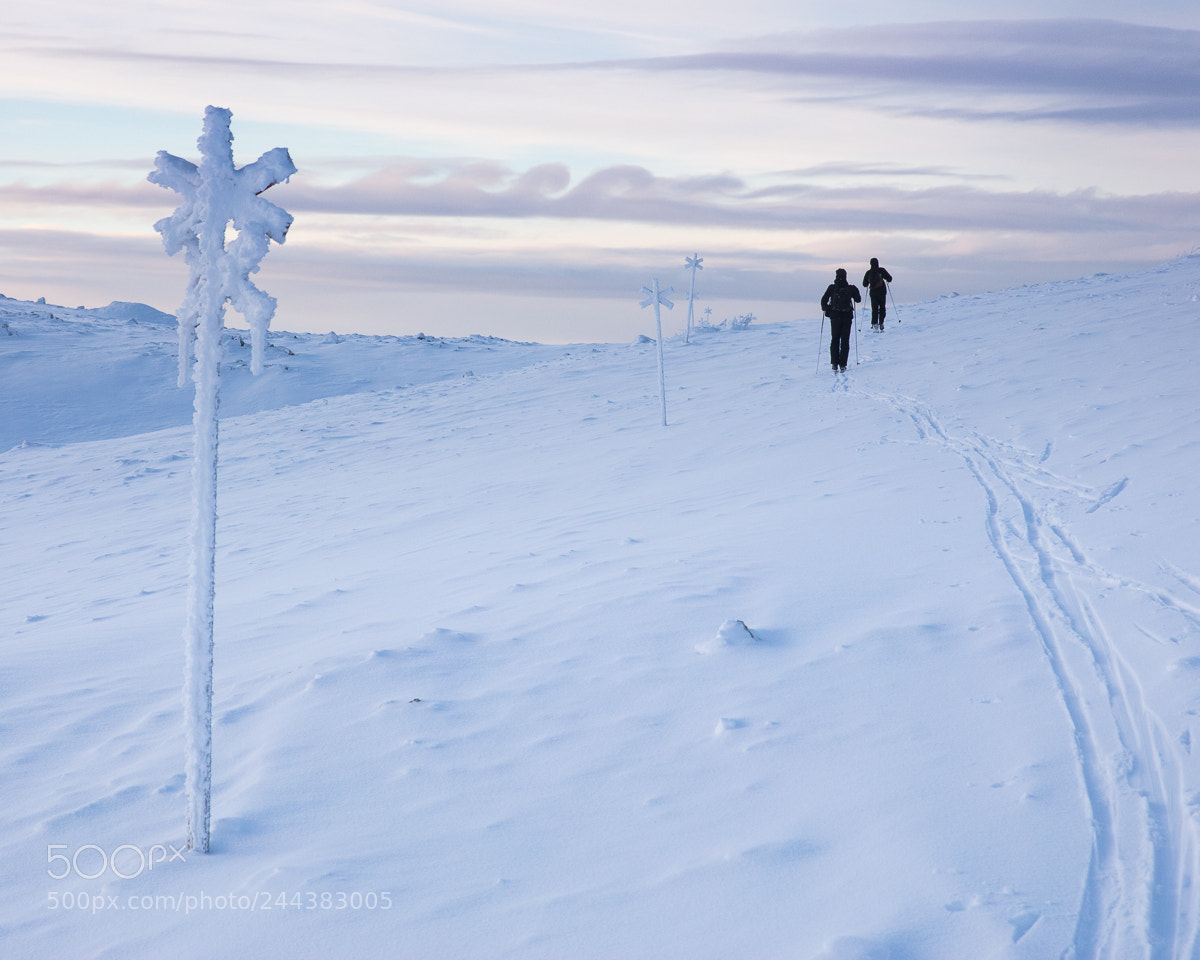 Canon EOS 5DS R sample photo. Sonfjället nationalpark i photography