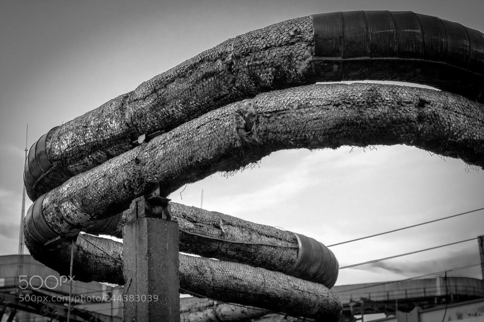 Canon EOS 1300D (EOS Rebel T6 / EOS Kiss X80) sample photo. Industrial snake photography