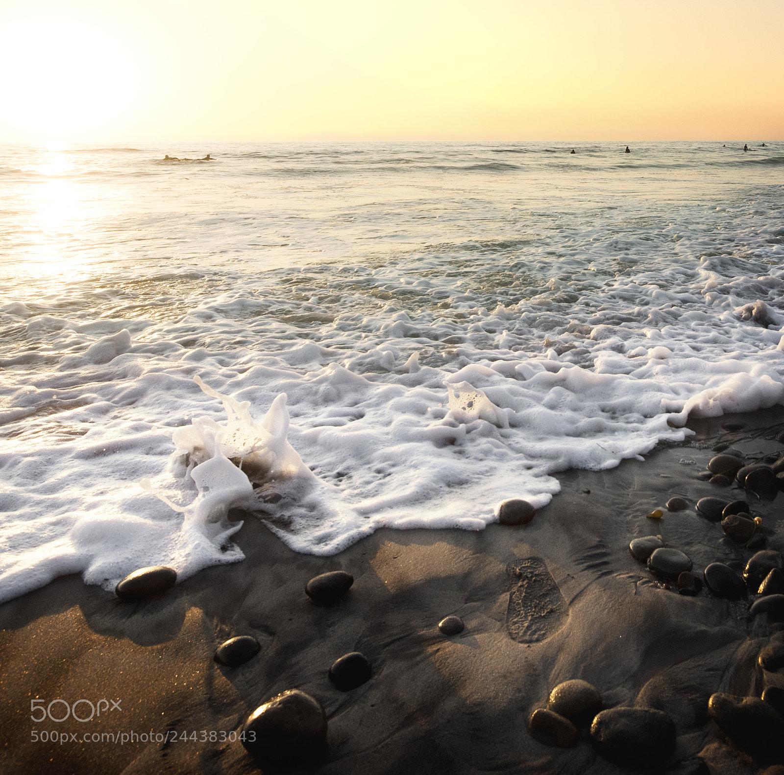 Nikon D810 sample photo. Footprint in the sand photography
