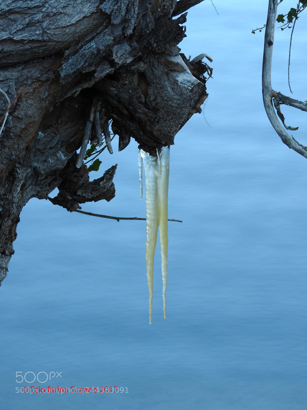 Nikon Coolpix P610 sample photo. Denti di ghiaccio photography