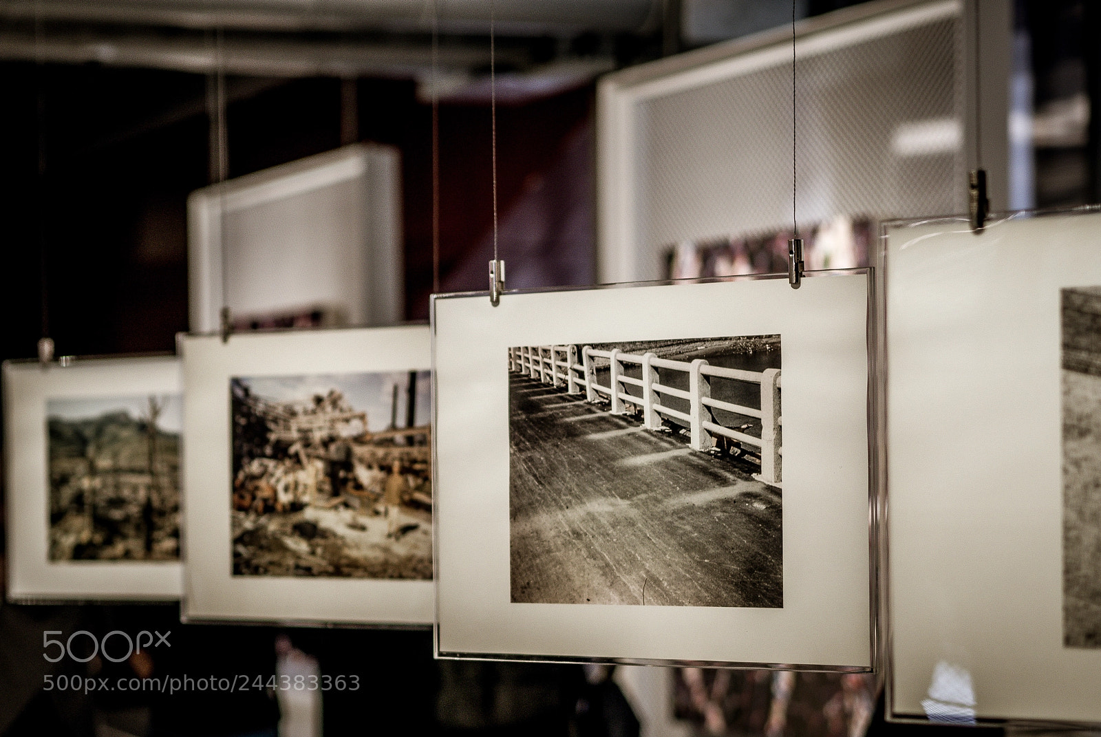 Olympus OM-D E-M10 II sample photo. Exhibition photography