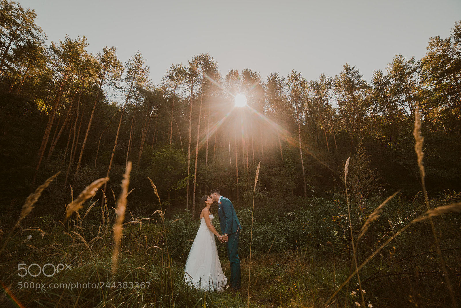 Nikon D610 sample photo. Trash the dress in photography