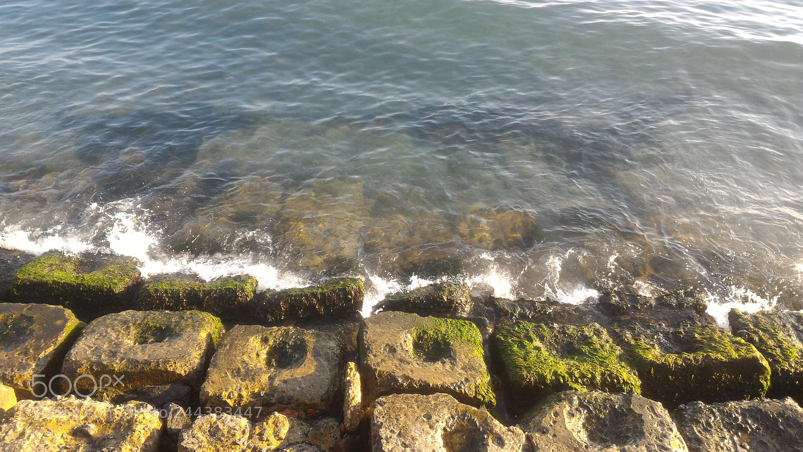 ASUS ZenFone 2 (ZE551ML) sample photo. Untitled photography