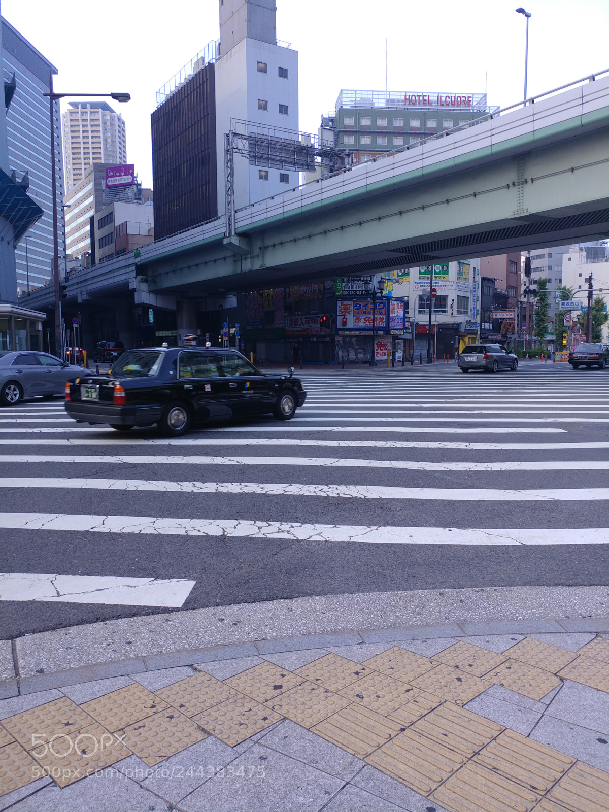 LG V20 sample photo. Zebra street photography