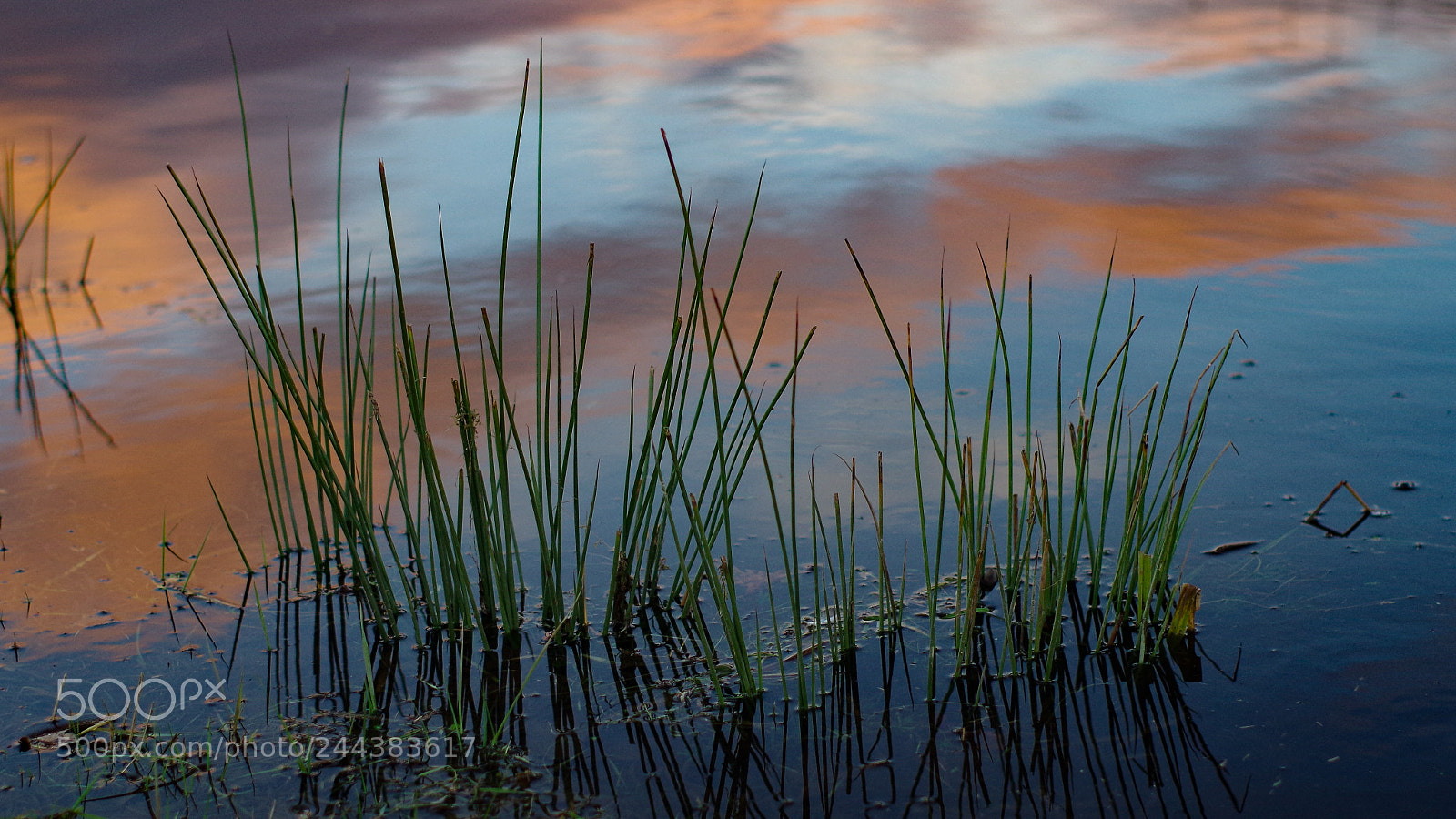 Pentax K-30 sample photo. January sunset photography