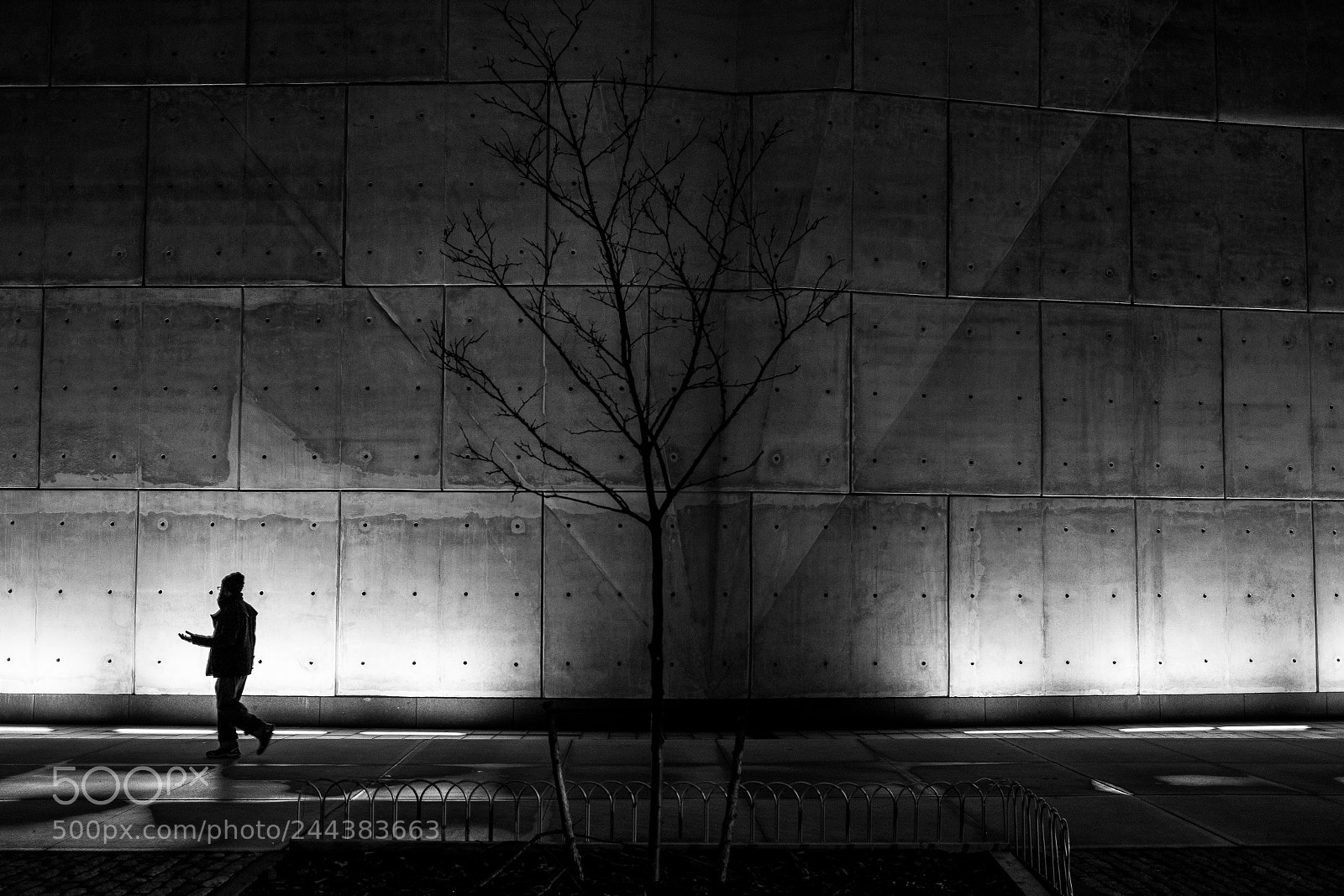 Fujifilm X-T2 sample photo. Untitled photography