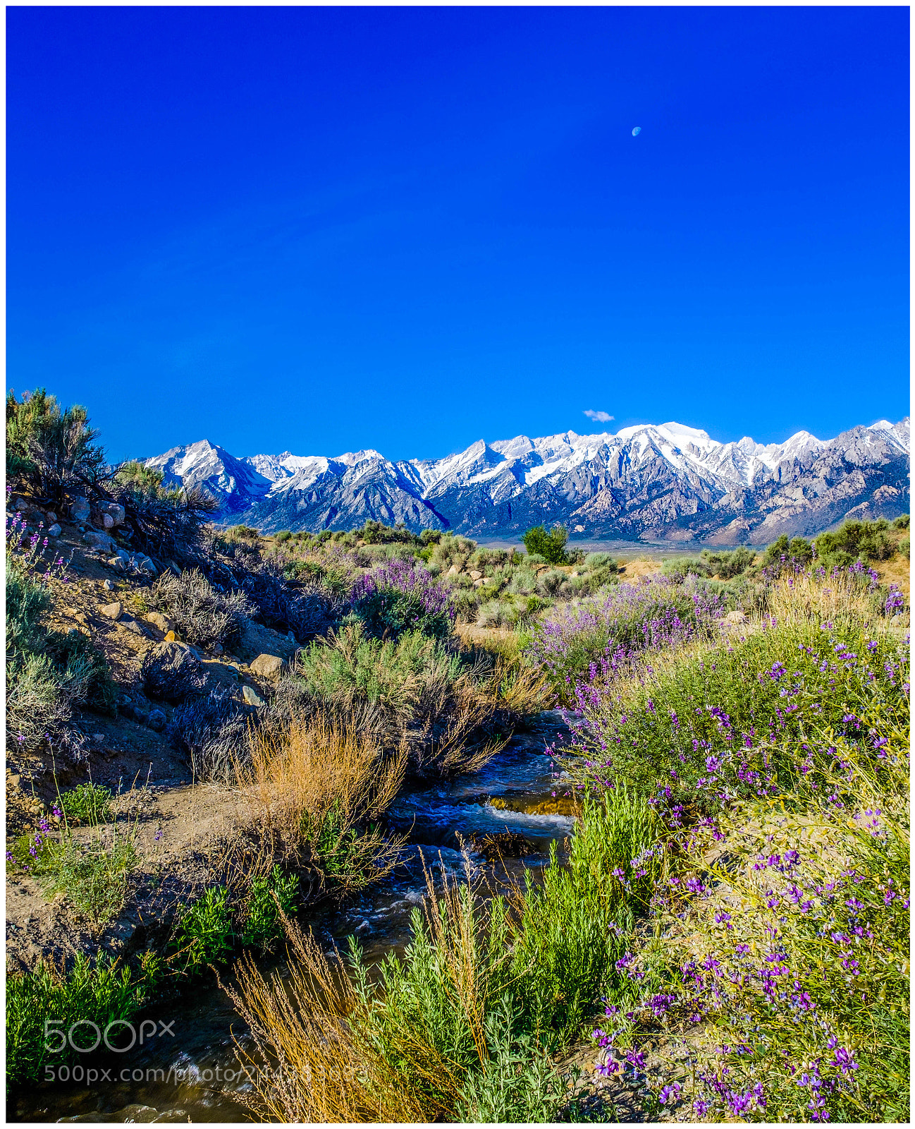 Fujifilm X100F sample photo. Manzanar photography