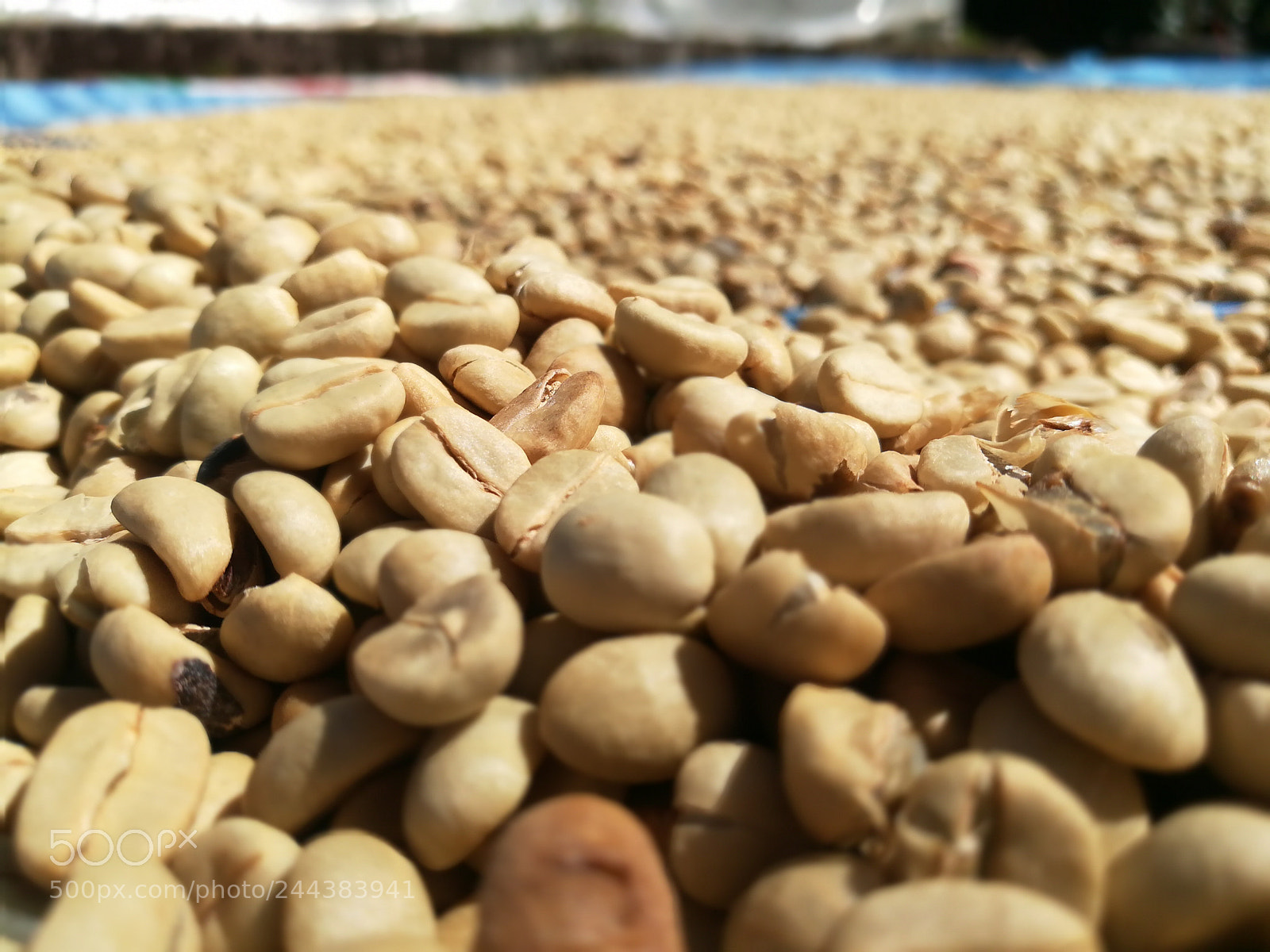 HUAWEI GR5 2017 sample photo. Untitled photography