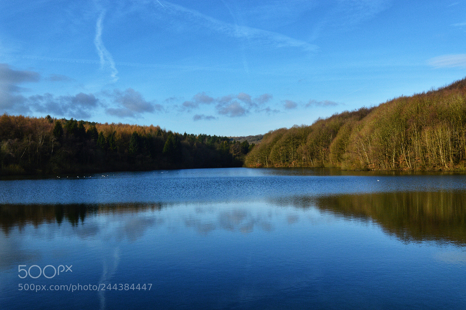 Nikon D3200 sample photo. Linacre photography