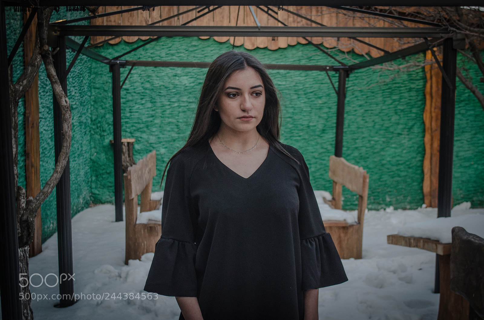 Nikon D5100 sample photo. Cold colors photography