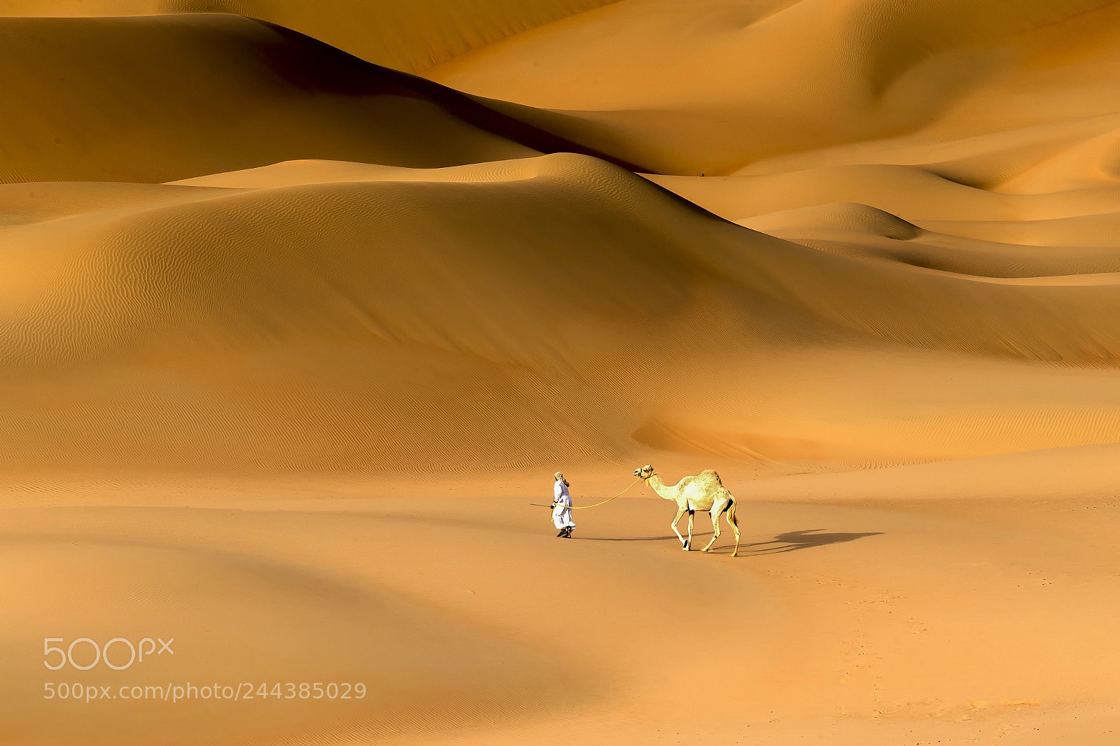 Canon EOS-1D X Mark II sample photo. Desert walker photography