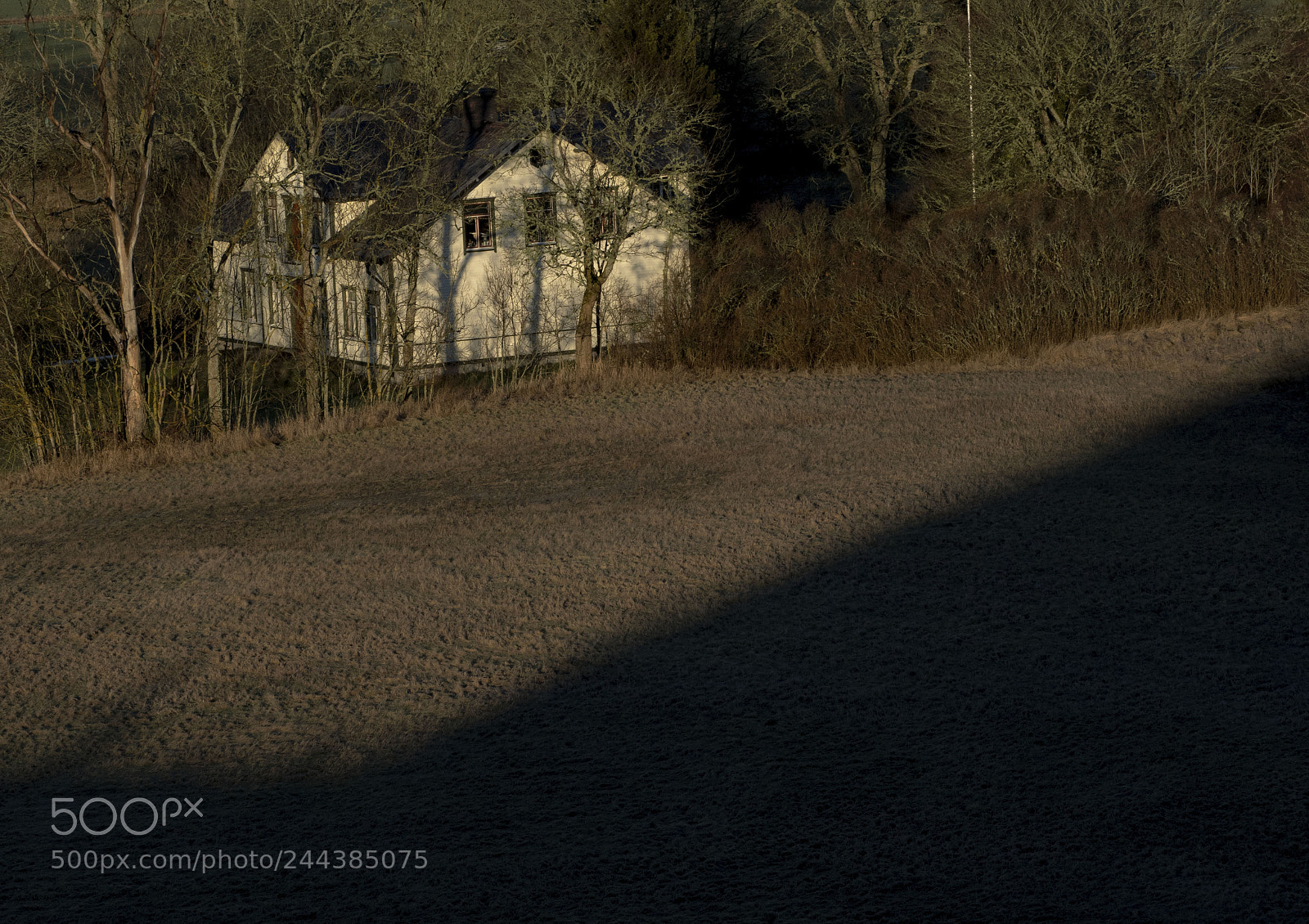 Olympus OM-D E-M1 Mark II sample photo. The house by the photography