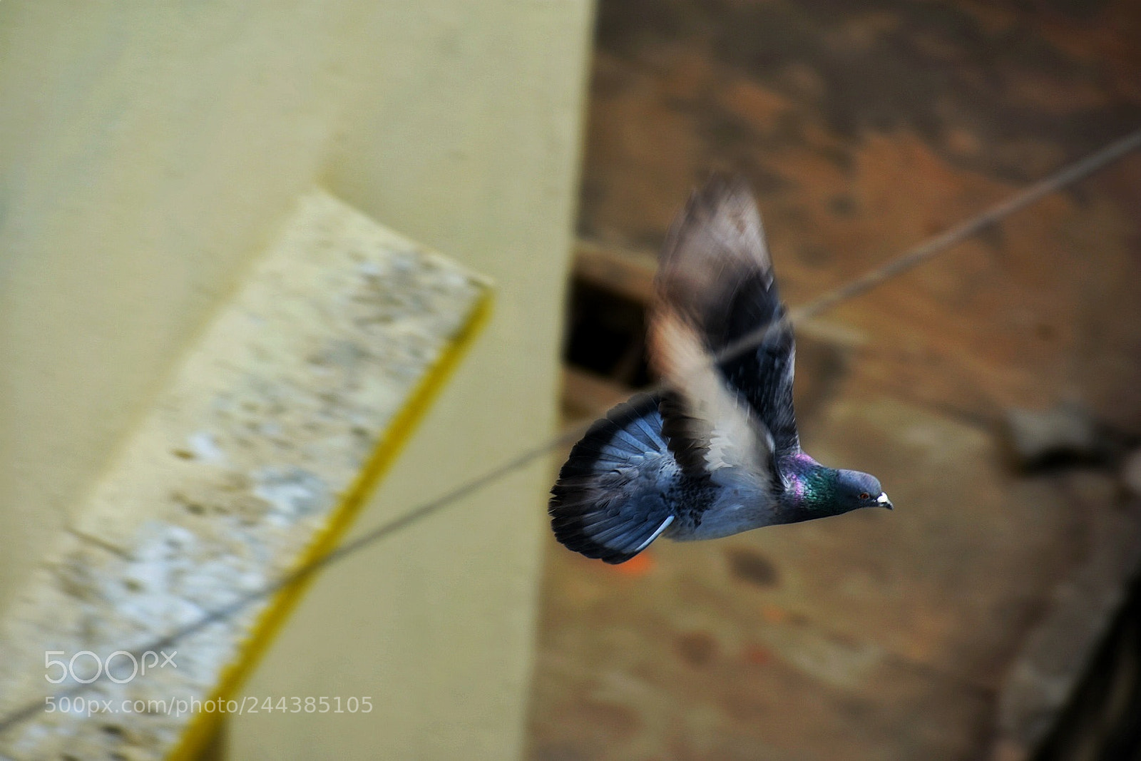 Nikon D3400 sample photo. Proof! i'm gone already. photography