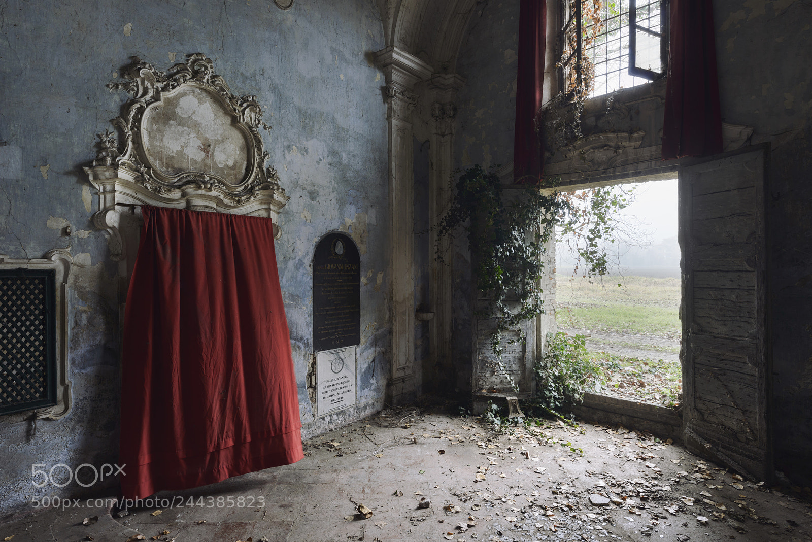 Nikon D800 sample photo. Red elegy photography