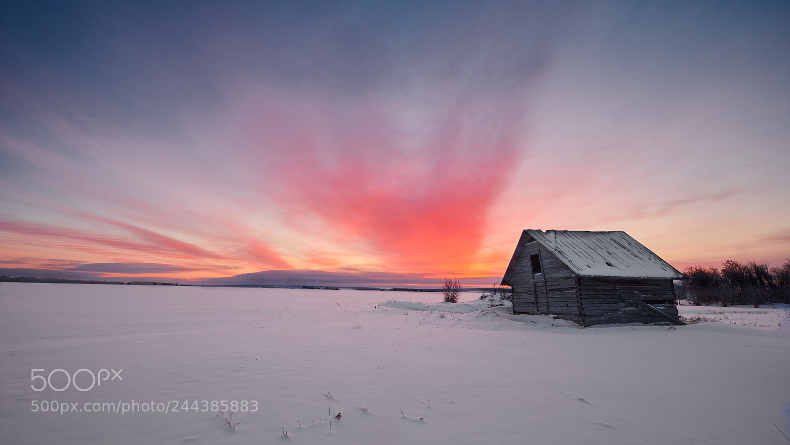 Nikon D850 sample photo. Old barn at dawn photography