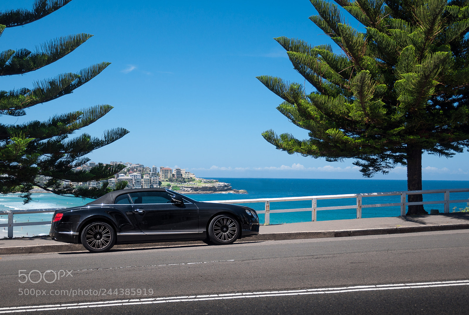 Nikon D90 sample photo. Bentley at bondi beach. photography