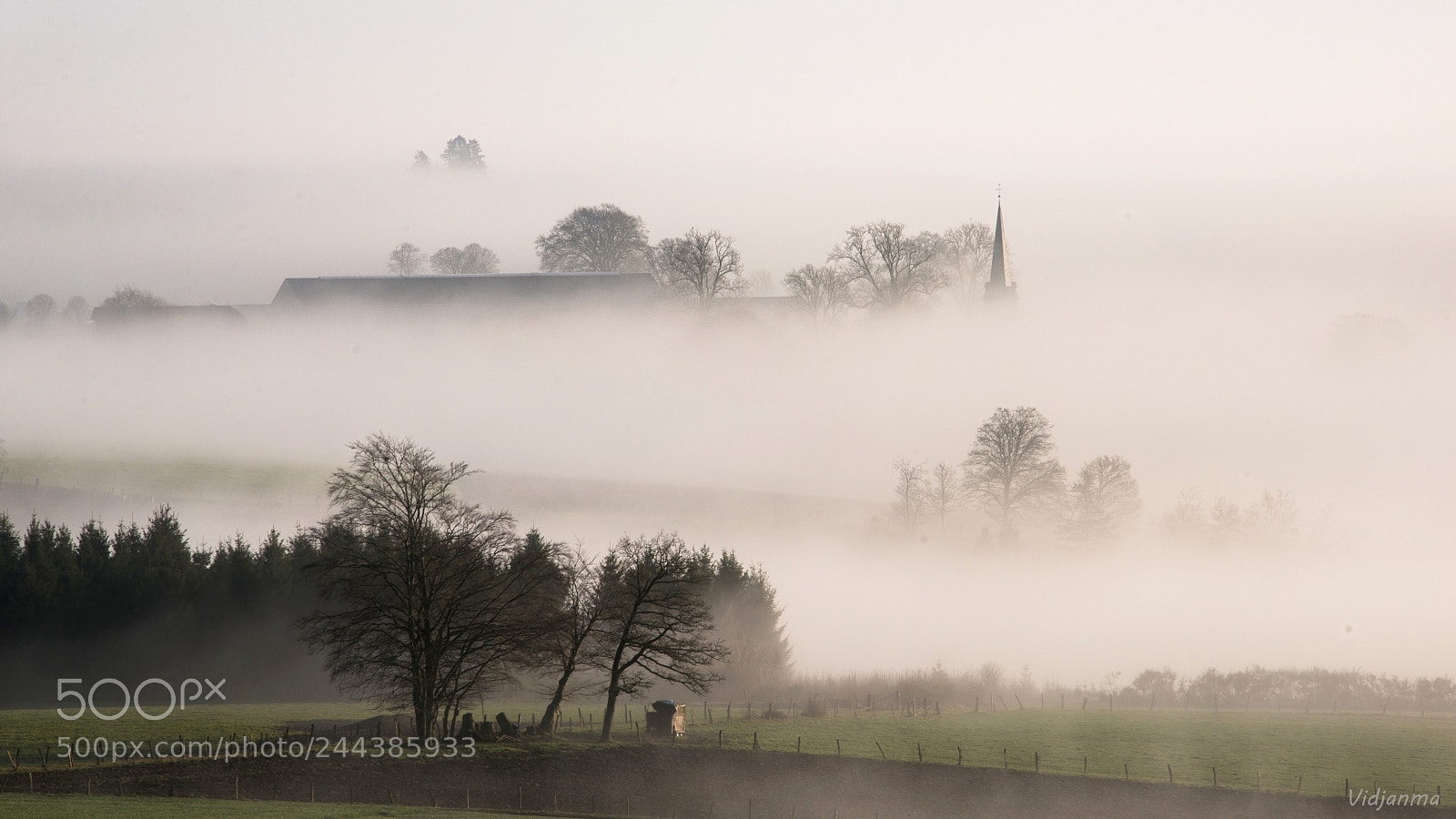 Nikon D610 sample photo. Misty morning photography