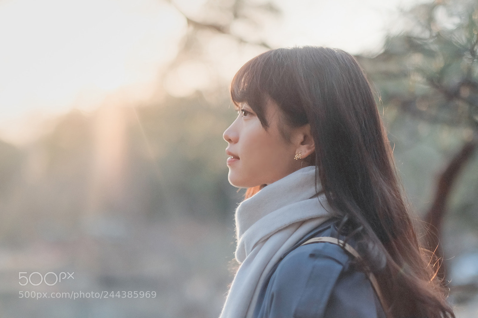 Fujifilm X-T2 sample photo. Untitled photography