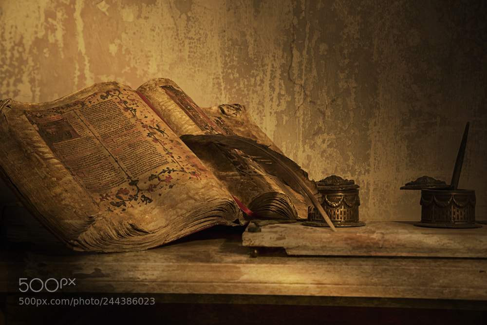 Nikon D810 sample photo. _dsc5526-1.jpg photography